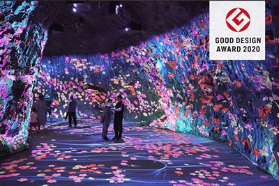 정선화암동굴 황금기둥 미디어파사드 / 꿈꾸는 정원