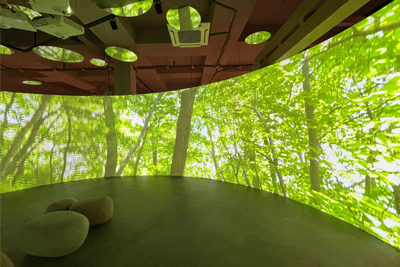 정선군 목재 문화 체험관-두위봉 사계 영상